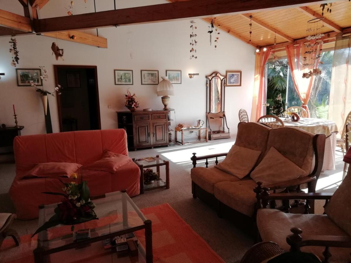 圣玛丽亚大德费拉Casa Da Boavista别墅 外观 照片